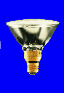 Quartz Halogen Lamp