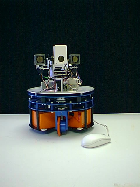 robot bat sonar head